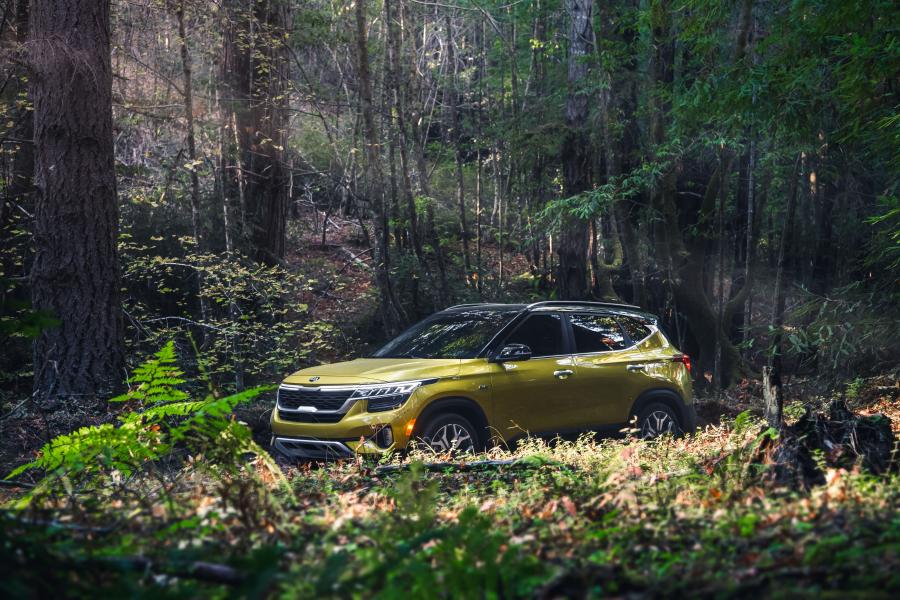  Kia Seltos 2020 года  (NA) (фото 11 из 45)